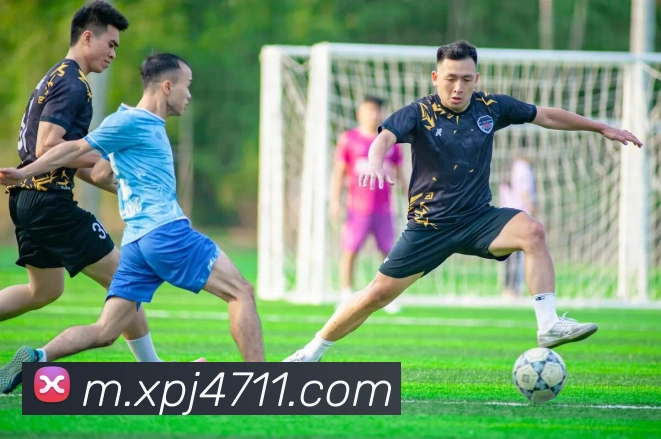 澳门新葡京网站入口平台生态图